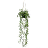 Smaragdkunstpflanze hängt in Topf Senecio 70 cm