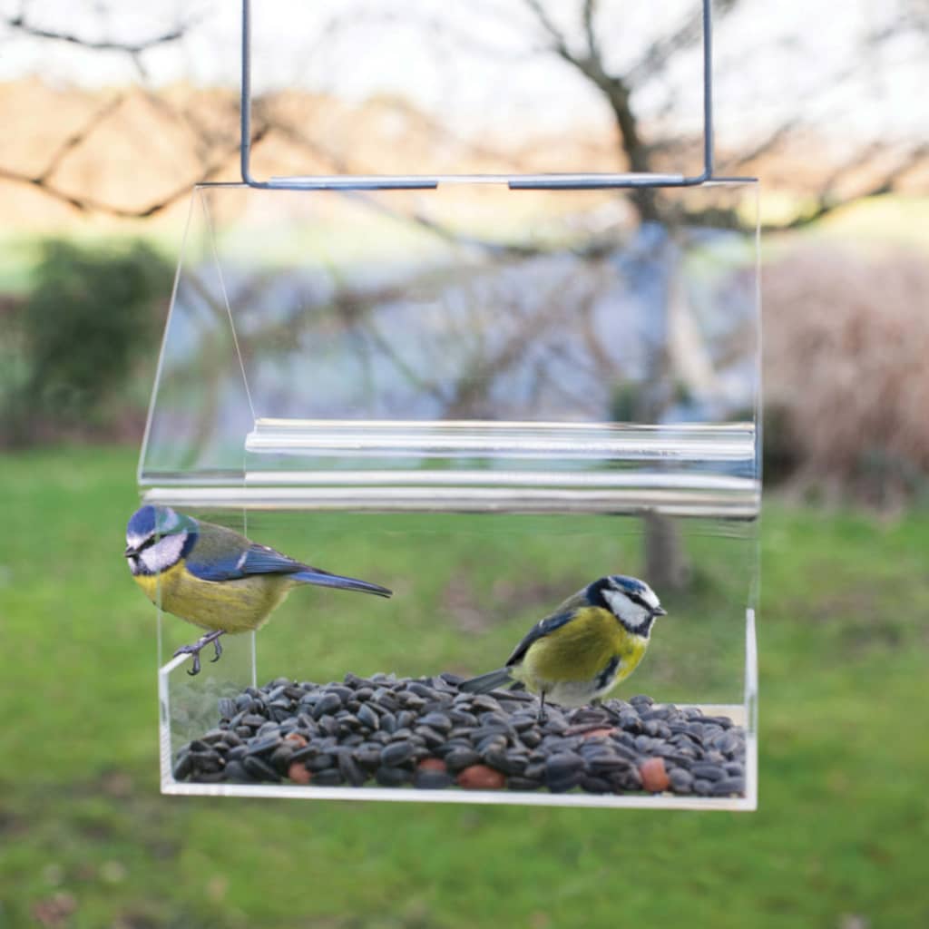 Essschert Design Bird Feed Tisch hängende Acrylhänge