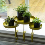 Essschert Design Pflanze Blad mit Klemme um S golden gefärbt