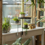 Essschert Design -Pflanze Blad mit Klemme um S grün