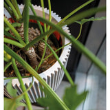 Capi Flowerpot Rille 43x41 cm Elfenbeinfarbe