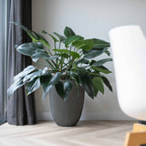 Capi Flowerpot Groove Elegant 34x46 cm Anthrazit -gelöscht