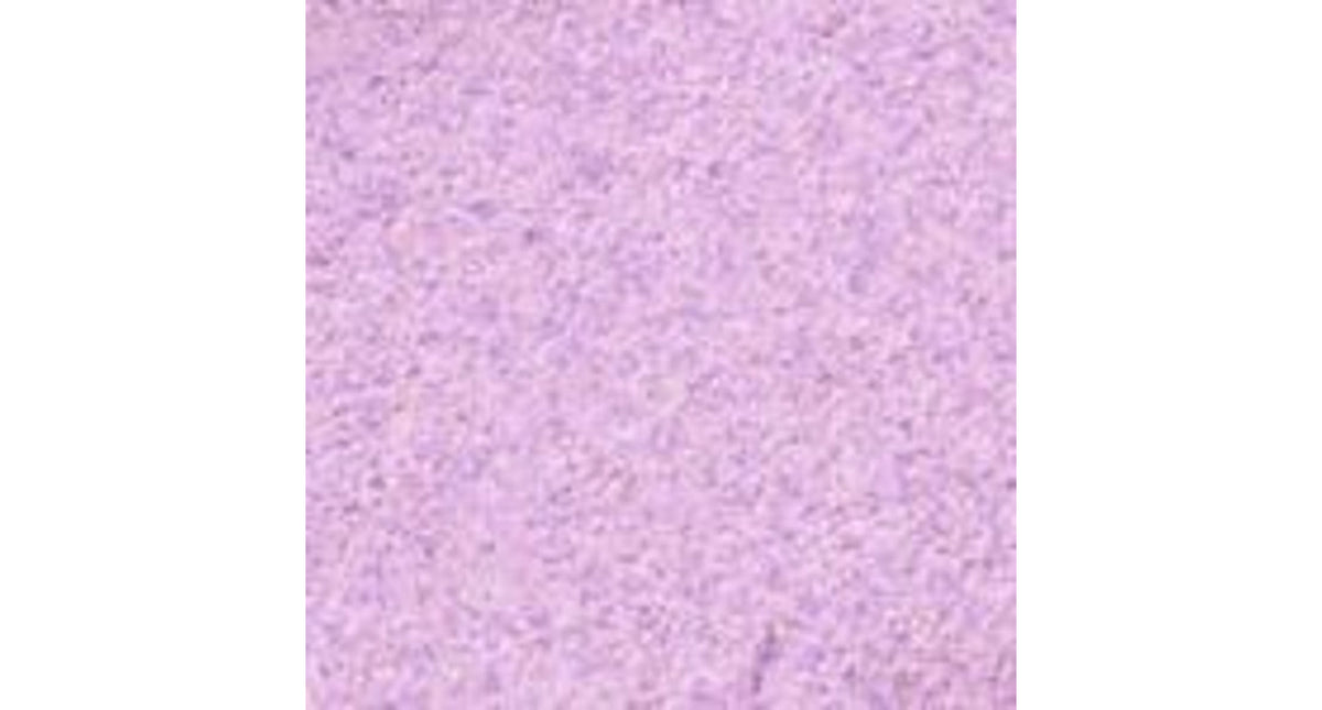 Zand - lila - zak per 5 kg - 0,1-0,5mm