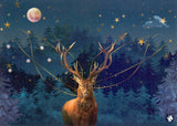 Prentbriefkaart cd10: christmas dee 6 st