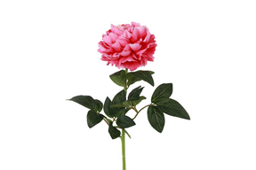 Countryfield kunstbloem paeonia rosaline fuchsia 5x14x44cm