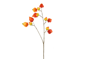 Countryfield kunstbloem physalis vuur oranje 95cm