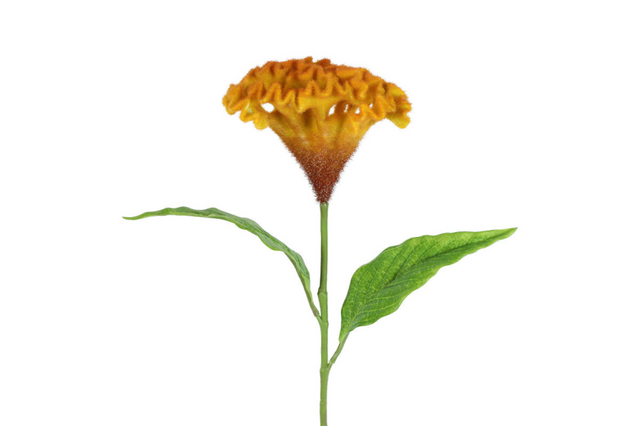 Countryfield kunstbloem celosia oranje 62cm