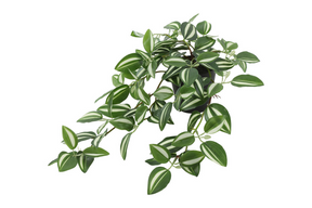 Countryfield kunstplant steker hang tradescantia 23x30x50cm