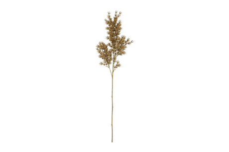 Countryfield kunstbloem asparagus s beige 73cm
