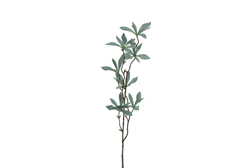 Countryfield kunstbloem pachira groen 80cm
