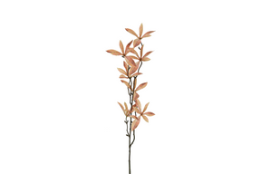 Countryfield kunstbloem pachira bruin 80cm