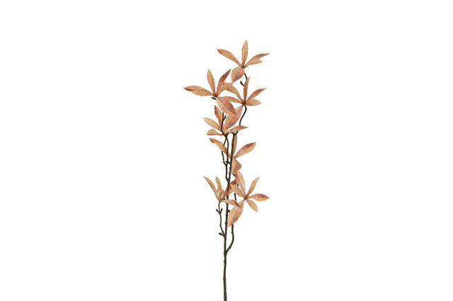 Countryfield kunstbloem pachira bruin 80cm