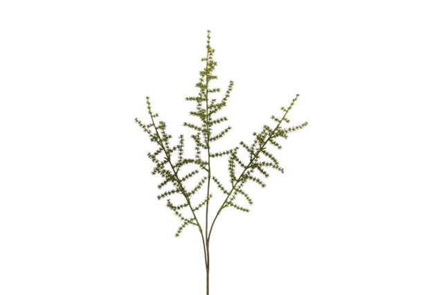 Countryfield kunstblad asparagus setaseus s groen 73cm