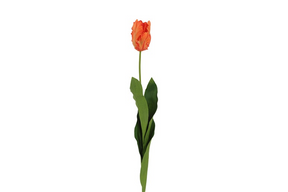 Countryfield kunstbloem tulipa (parrot french) oranje 65cm