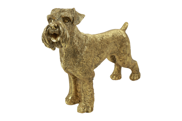 Countryfield hond schnauzer brutis l 33x9x24cm - goud