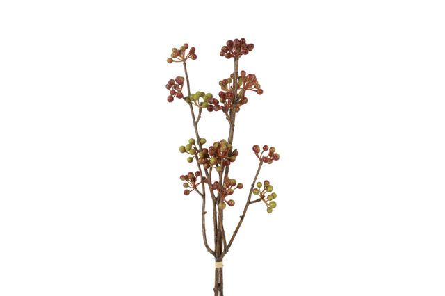 Countryfield bundel hedera helix l 15x6x61cm - bruin groen