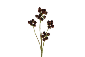 Countryfield vrucht rubus 7x12x73cm - paars
