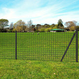 Vidaxl Euro Zaun 10x0,8 m Stahlgrau