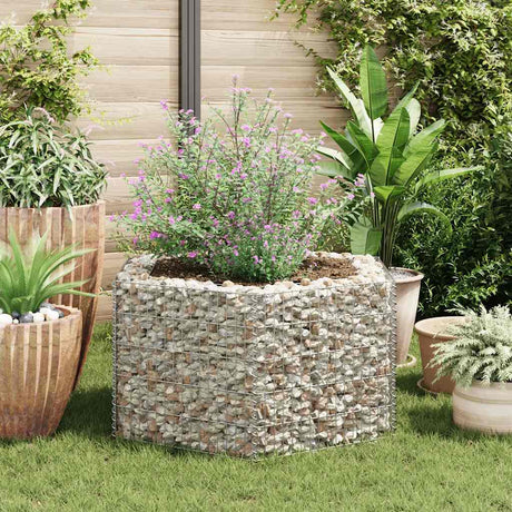 Vidaxl Gabion Pflanzer Insent Hexagonal 100x90x50 cm
