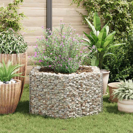 Vidaxl Gabion Pflanzer Insent Hexagonal 100x90x50 cm