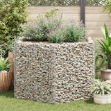 Vidaxl Gabion -Pflanzer vermehrte hexagonale 160x140x100 cm