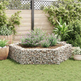 Vidaxl Gabion -Pflanzer vermehrte hexagonale 200x173x40 cm