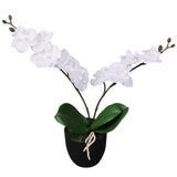 Vidaxl künstliche Pflanzenorchidee mit Topf 30 cm Weiß