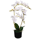 Vidaxl Künstliche Pflanzenorchidee mit Topf 65 cm Weiß