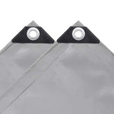 Vidaxl -Gerät 650 g m² 2x3 m grau