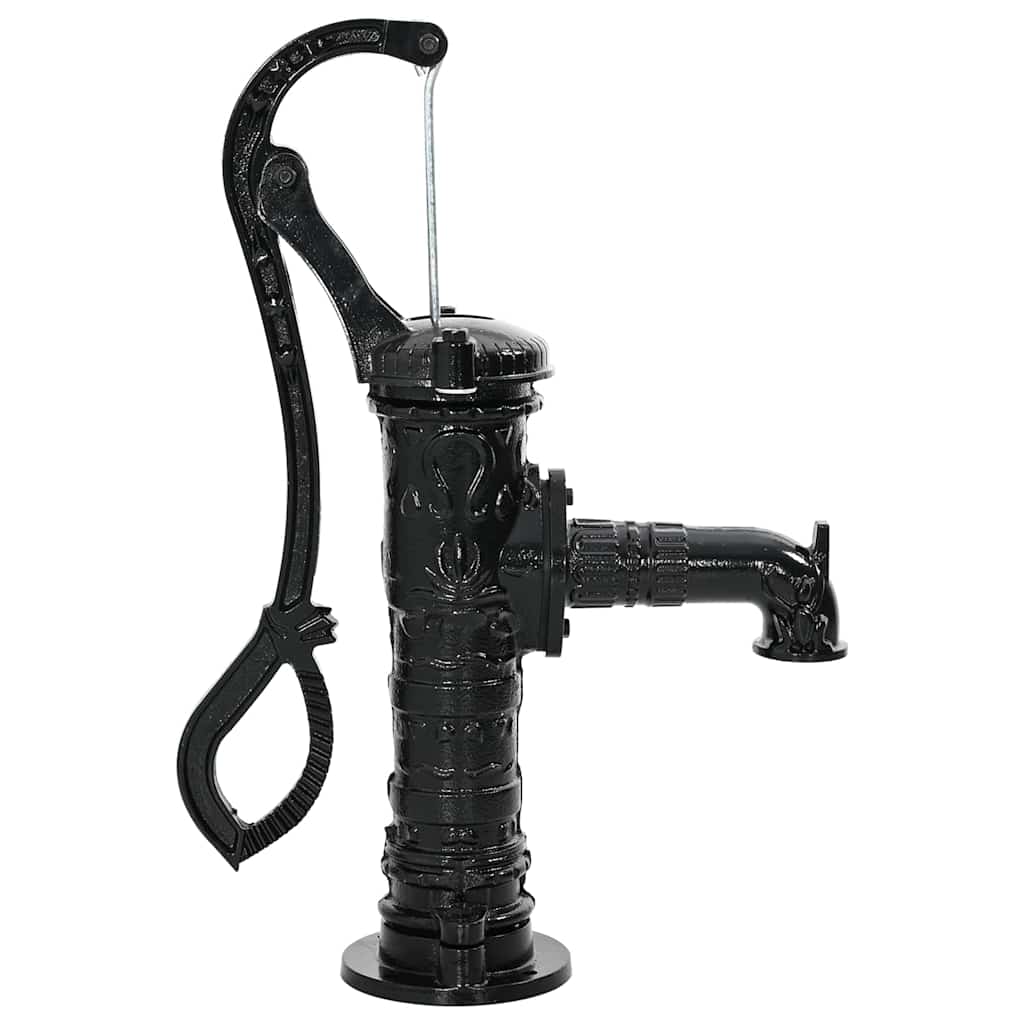 VidaXL Handwasserpumpe Gusseisen
