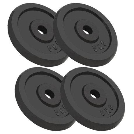 VIDAXL -Halfterscheiben 4 PCs 4x5 kg Gusseisen