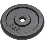 VIDAXL -Halfterscheiben 4 PCs 4x5 kg Gusseisen