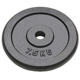 VIDAXL -Halfterscheiben 4 ST 4x7,5 kg Gusseisen