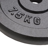 VIDAXL -Halfterscheiben 4 ST 4x7,5 kg Gusseisen