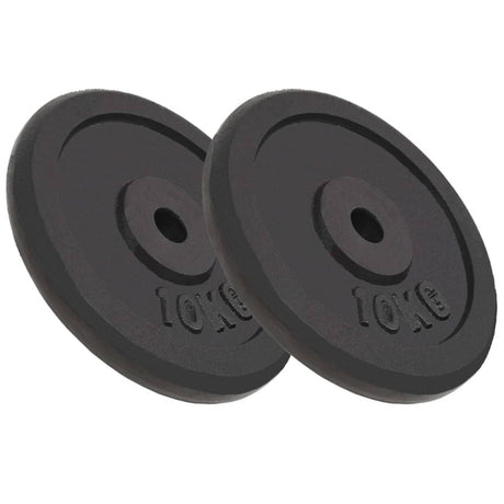 VIDAXL -Halfterscheiben 2 PCs 2x10 kg Gusseisen