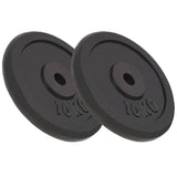 VIDAXL -Halfterscheiben 2 PCs 2x10 kg Gusseisen