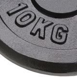 VIDAXL -Halfterscheiben 2 PCs 2x10 kg Gusseisen