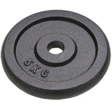 VIDAXL -Halfterscheiben 4 PCs 2x10 kg und 2x5 kg Gusseisen