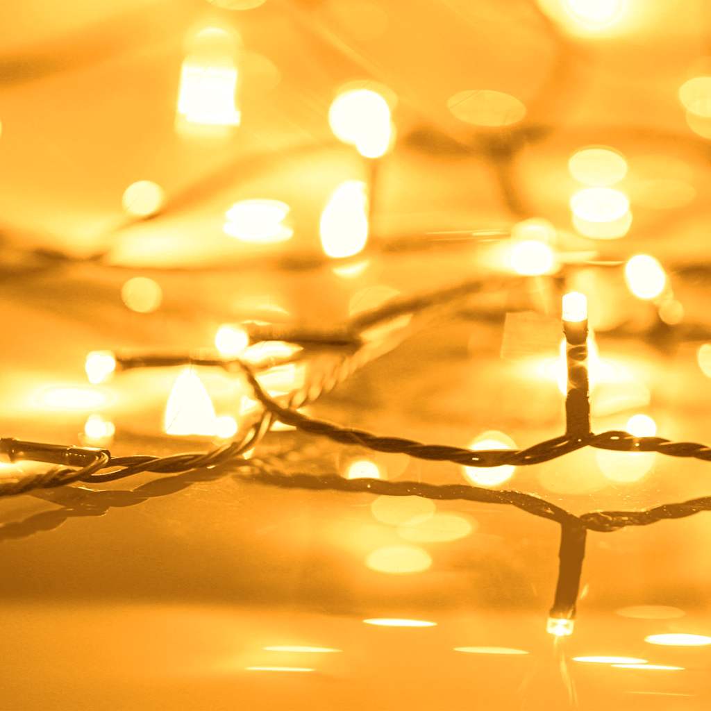 Vidaxl Lichtkabel mit 600 LEDs mit 8 leichten Effekten IP44 60 M warmes Weiß