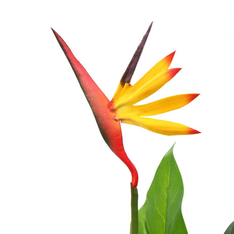 VIDAXL Künstliche Pflanzenparadise Vogelblume 66 cm