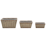 Vidaxl -Pflanzer erhöhten 3 -St. Wicker mit PE -Futter