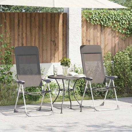 Vidaxl Campingstühle 4 Stcs Falten Aluminiumgrau
