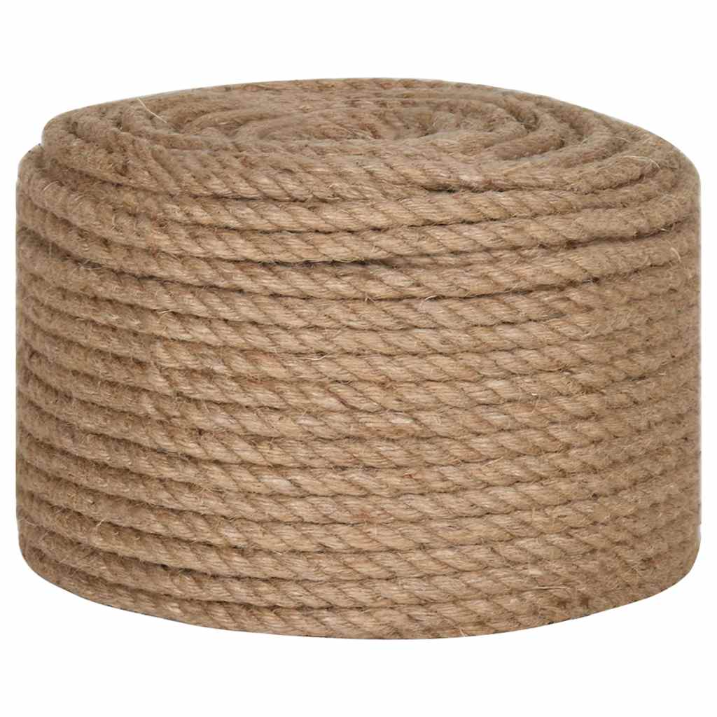 Vidaxl -Seil 10 mm 250 m 100% Jute