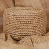 Vidaxl -Seil 10 mm 250 m 100% Jute