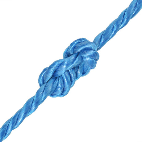 Vidaxx Seil gedreht 12 mm 250 m Polypropylen blau