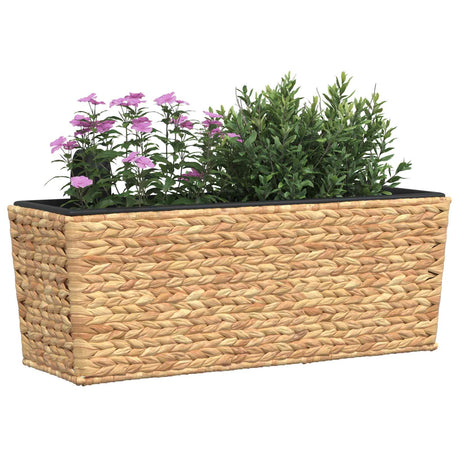 VIDAXL PLANTERS 2 ST WASSERHYACINT