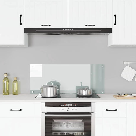 VIDAXL FRAGE SREBEN KITCHE 100x40 cm teral glas transparent