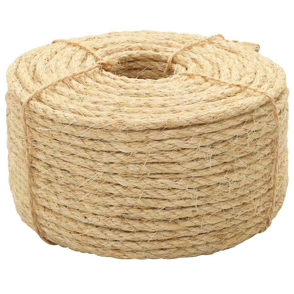 Vidaxl -Seil 10 mm 100 m 100% Schwester