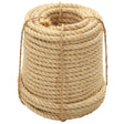 Vidaxl -Seil 14 mm 50 m 100% Schwester