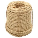 Vidaxl -Seil 20 mm 50 m 100% Schwestern